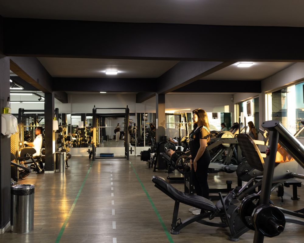 Design sem nome - 2025-09-12T161621.879