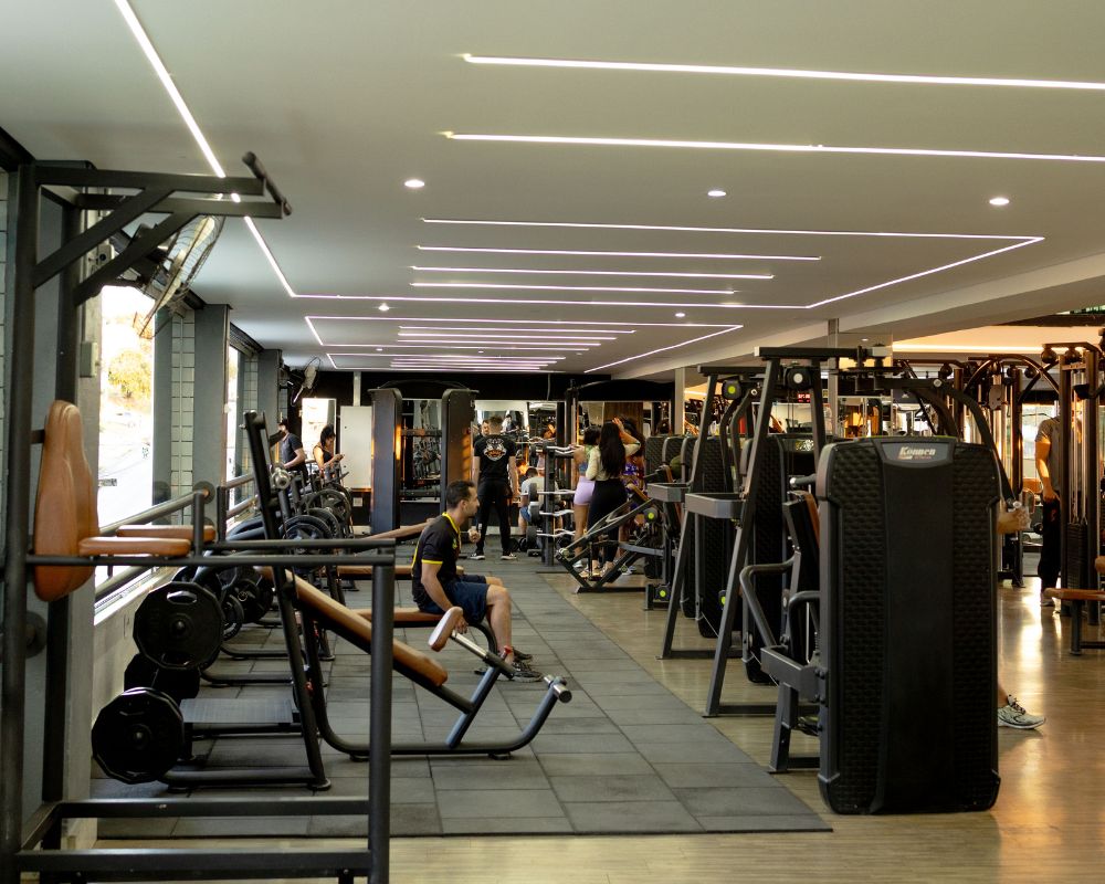 Design sem nome - 2025-09-12T161644.431